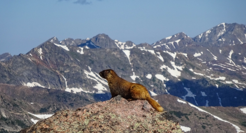 outdoor summer program for teens in colorado